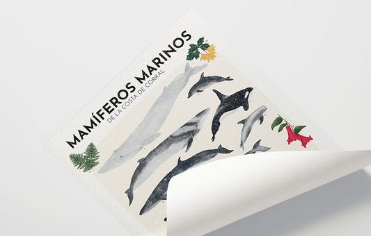 Afiche mamíferos marinos de Valdivia / 2025