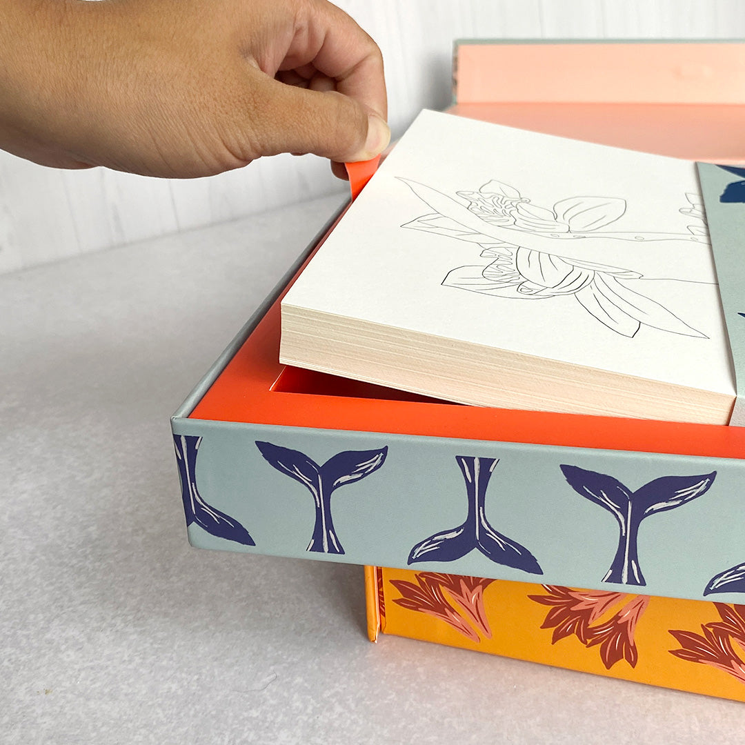 Kit Cajas con láminas para pintar modelos Primavera + Mar Botánico