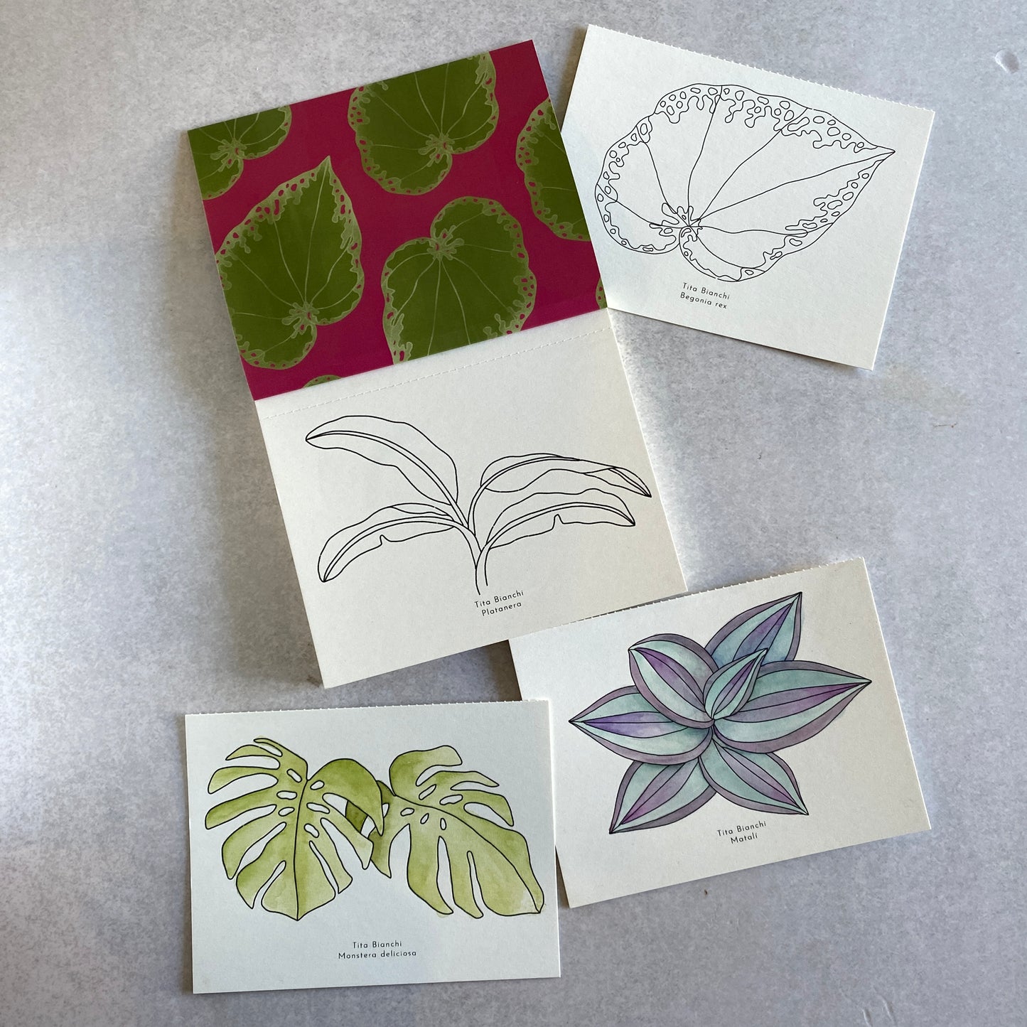 Libro para pintar Selva