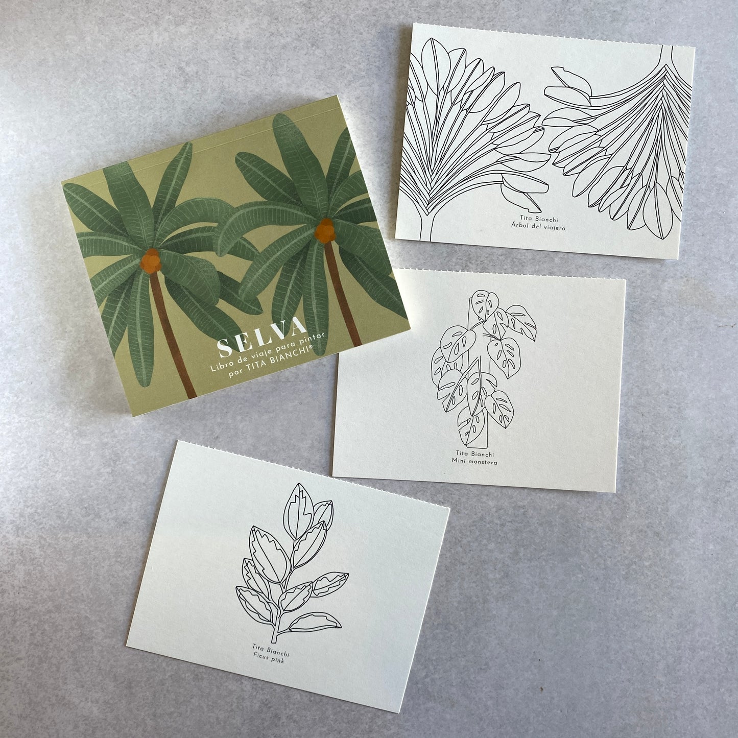Pack botánico, libros para pintar