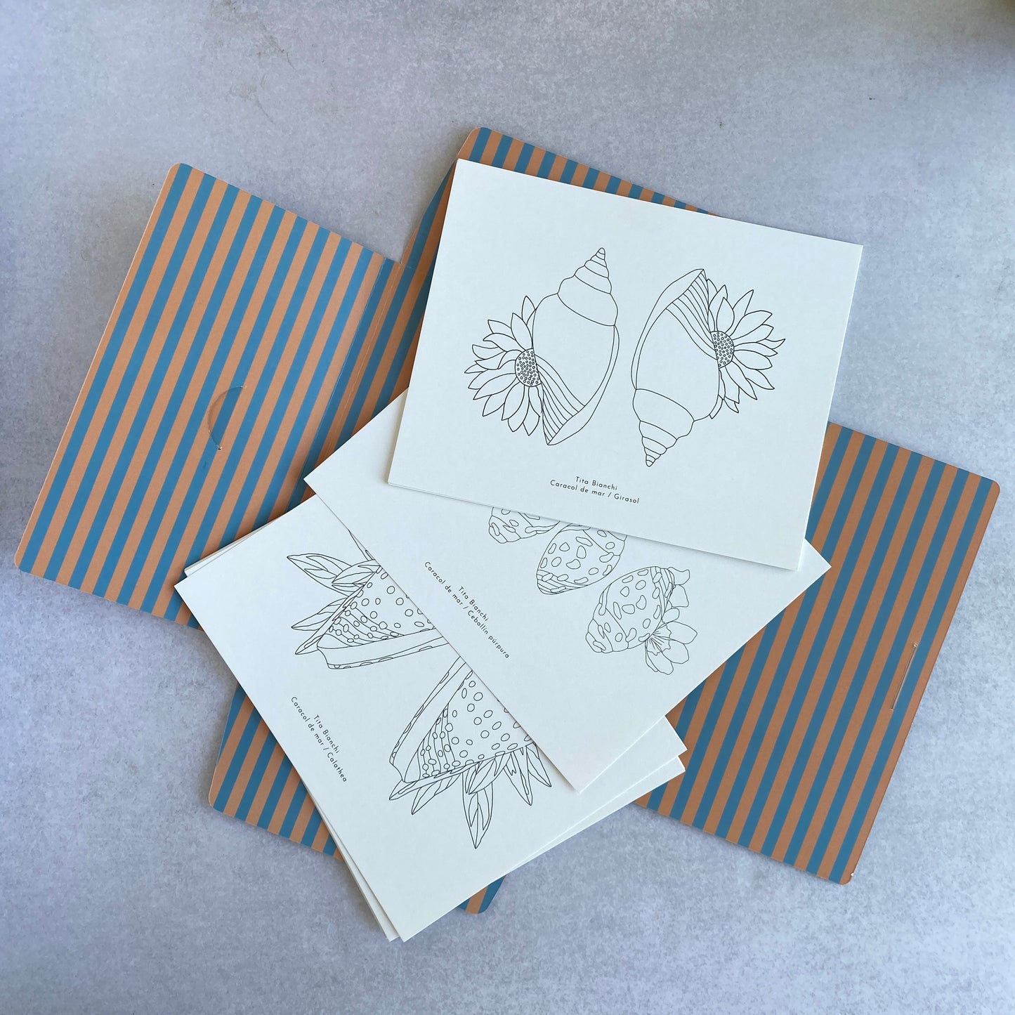 Carpeta Conchitas Botánicas con 22 láminas para pintar