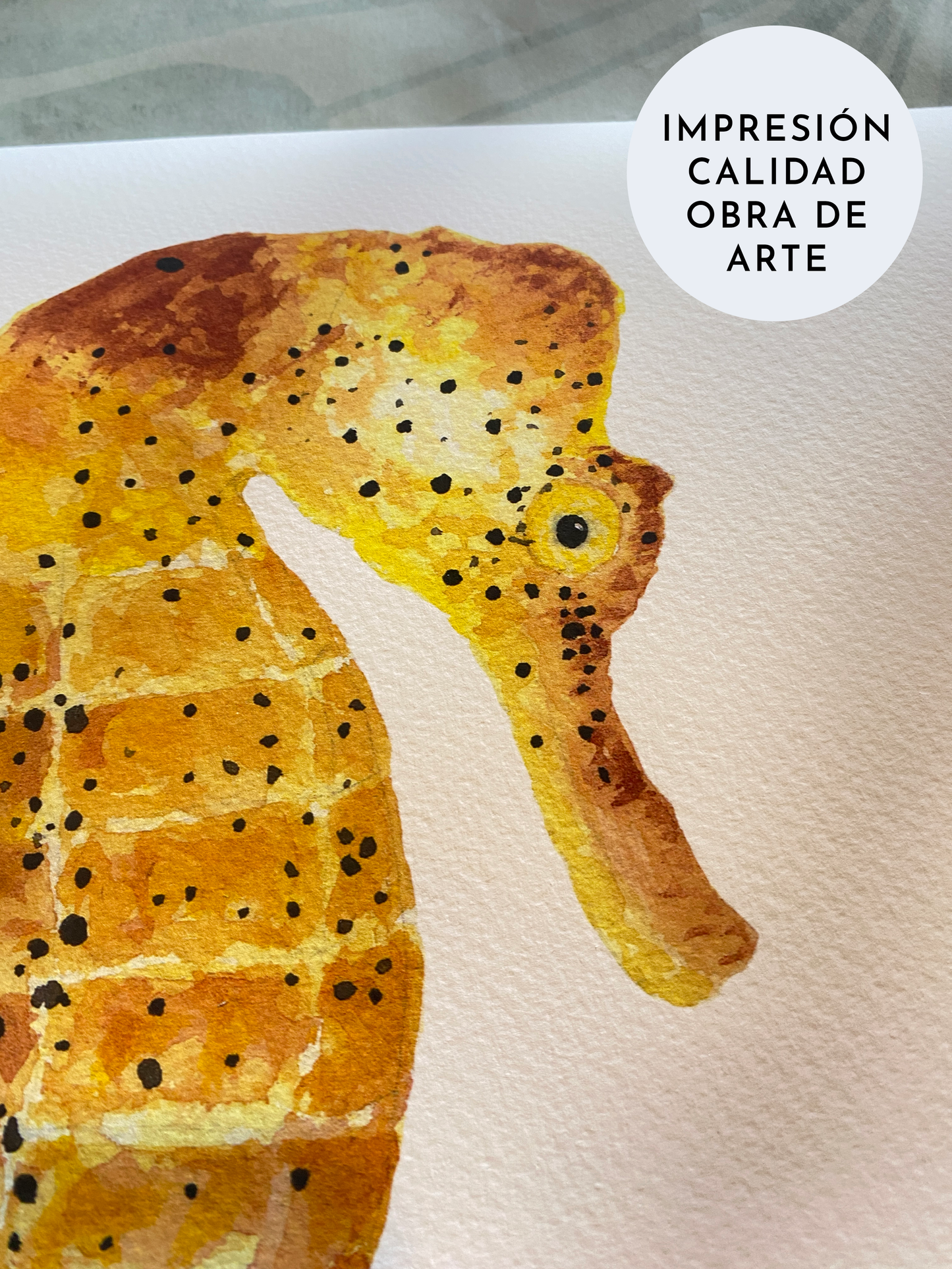 Caballito de Mar #2