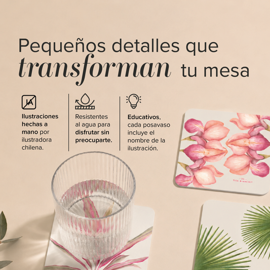 Posavasos Botánicos – Set de 6