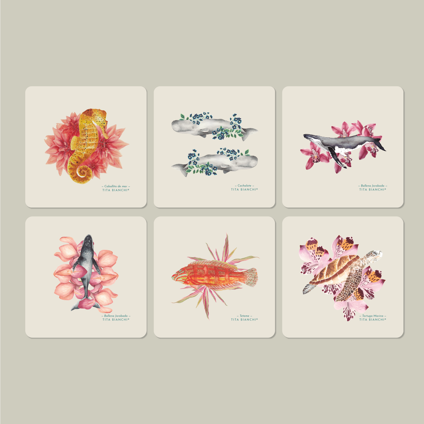 Posavasos Mar Botánico – Set de 6