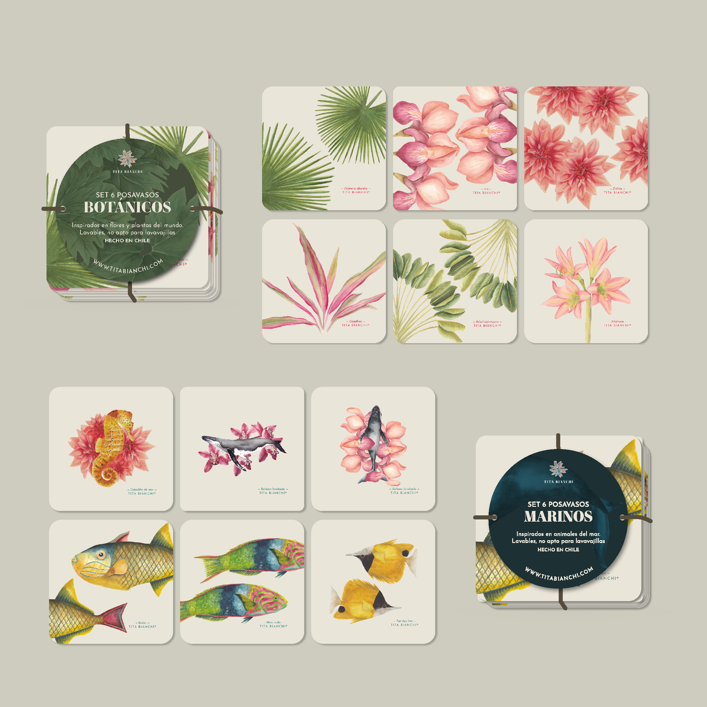 Pack Posavasos Ilustrados – Marinos + Botánicos (Set de 12)