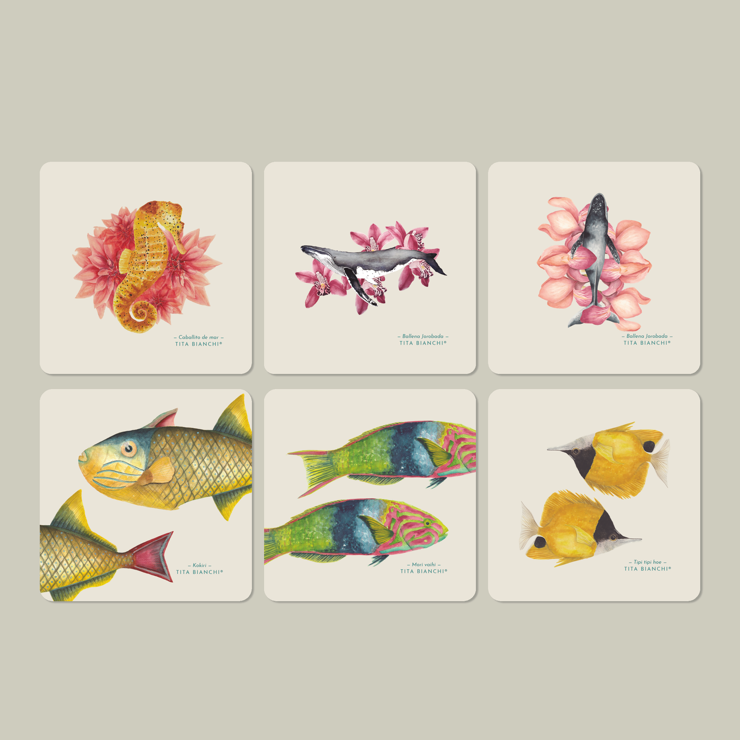 Posavasos Marinos – Set de 6