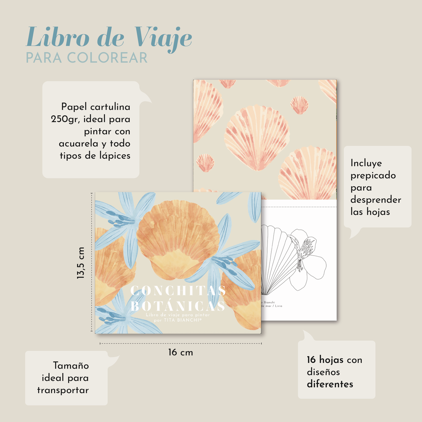 Libro para pintar Conchitas Botánicas