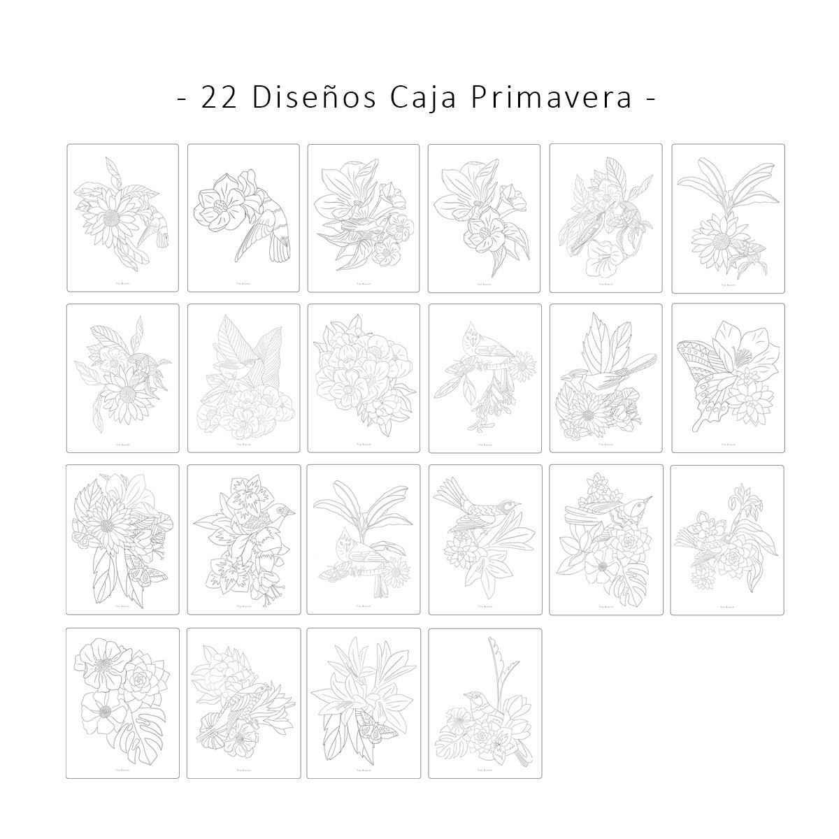 Primavera, Láminas para pintar por TITA BIANCHI. 44 láminas para pintar con acuarela y todo tipo de lápices. Ilustraciones de flores, pájaros, mariposas, hojas