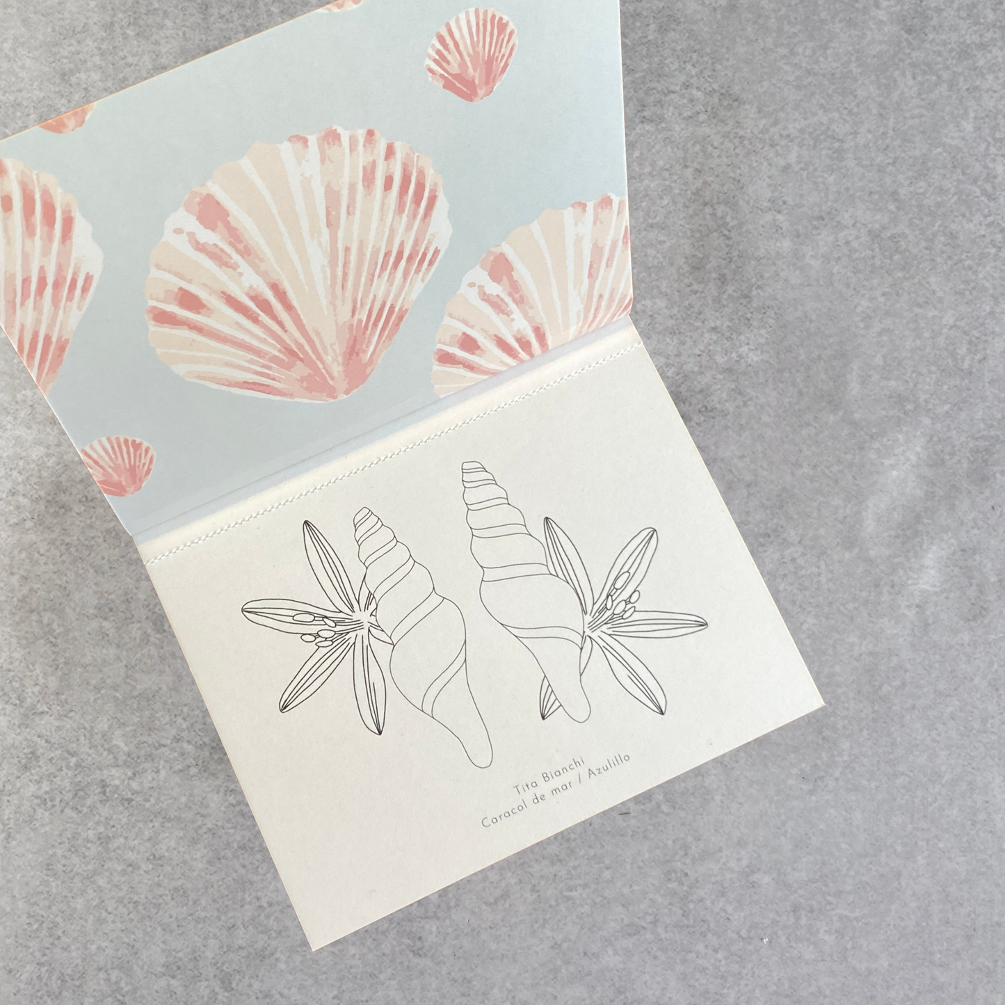 Libros para pintar inspirados en la naturaleza, tamaño pocket ideal para viaje, tita bianchi, pintar con acuarela y lápices