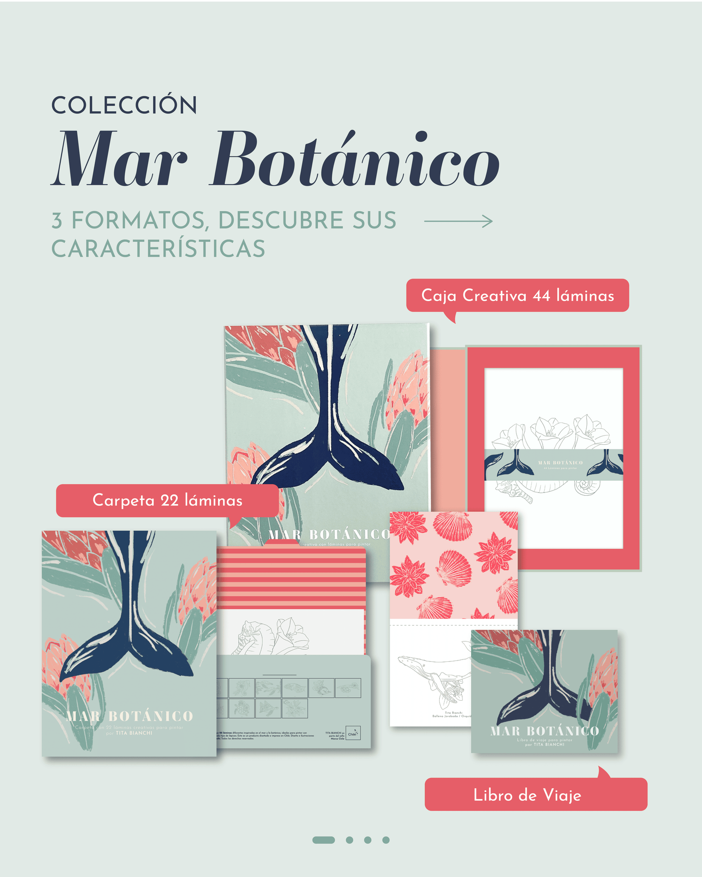 Libros para pintar inspirados en la naturaleza, tamaño pocket ideal para viaje, tita bianchi, pintar con acuarela y lápices