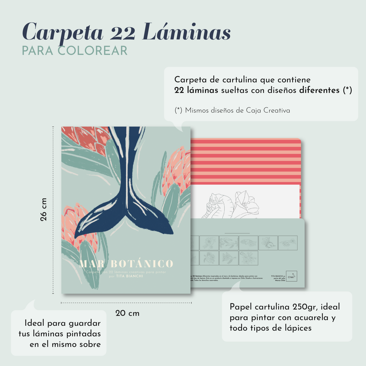 Carpeta Mar Botánico con 22 láminas para pintar