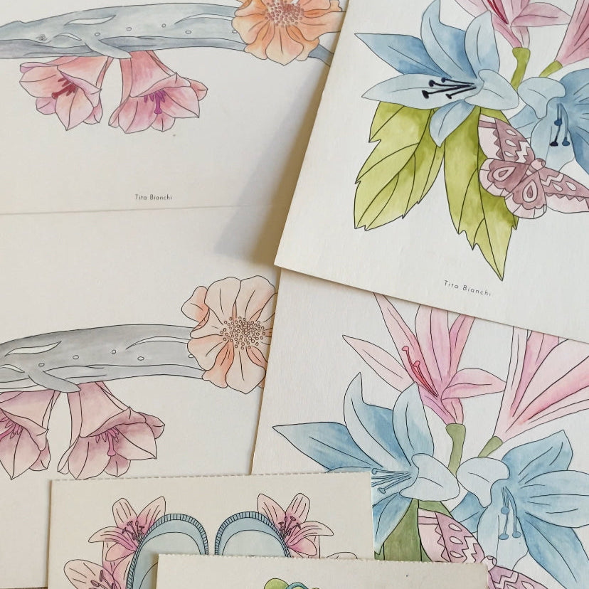 colorear y pintar con lápices, motivos marinos y botánicos, tita bianchi, libro para pintar