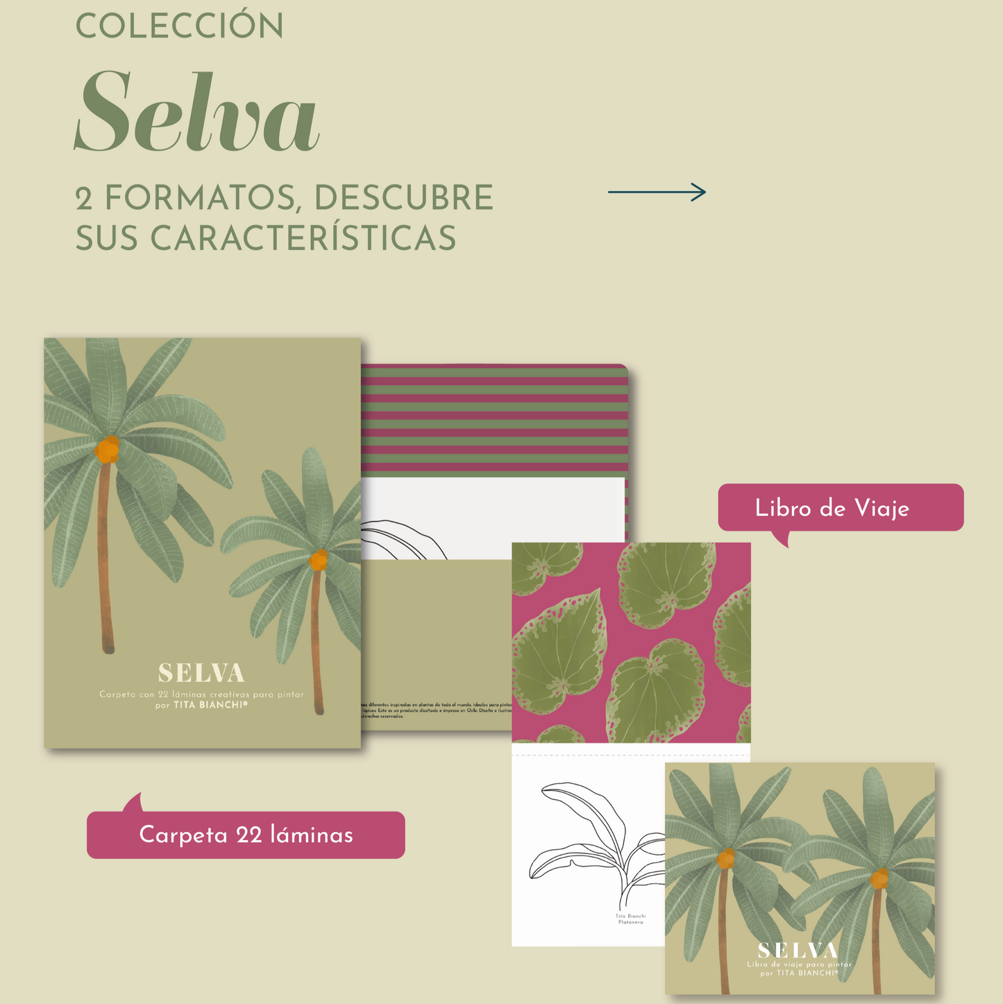 Libro de Viaje para pintar Selva