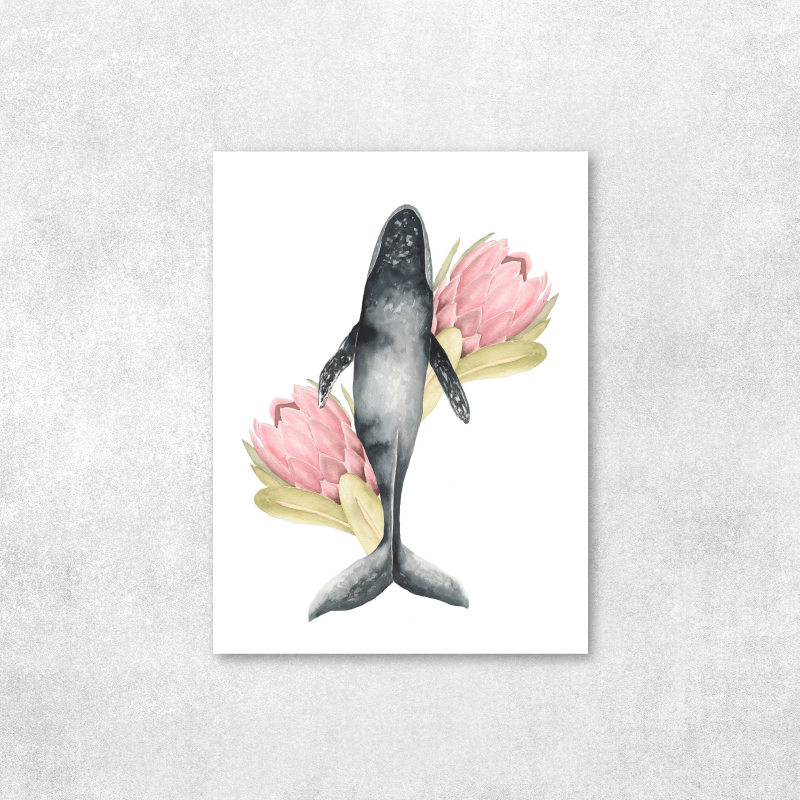 Ballena Jorobada nadando proteas