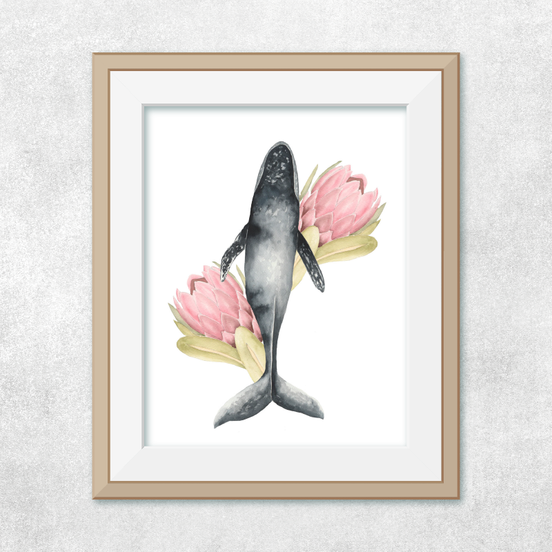 Ballena Jorobada nadando proteas