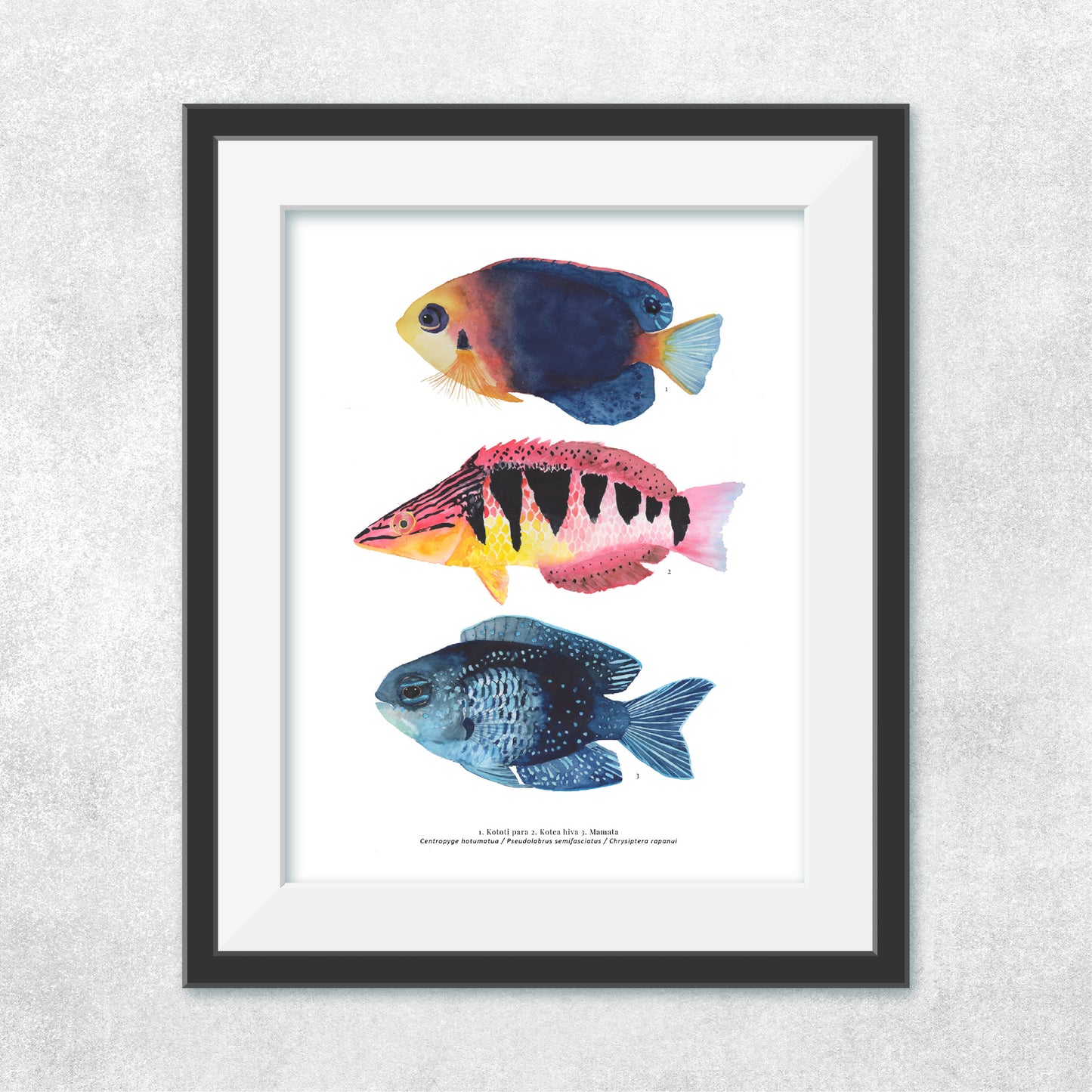 Trío de peces Rapa Nui #2