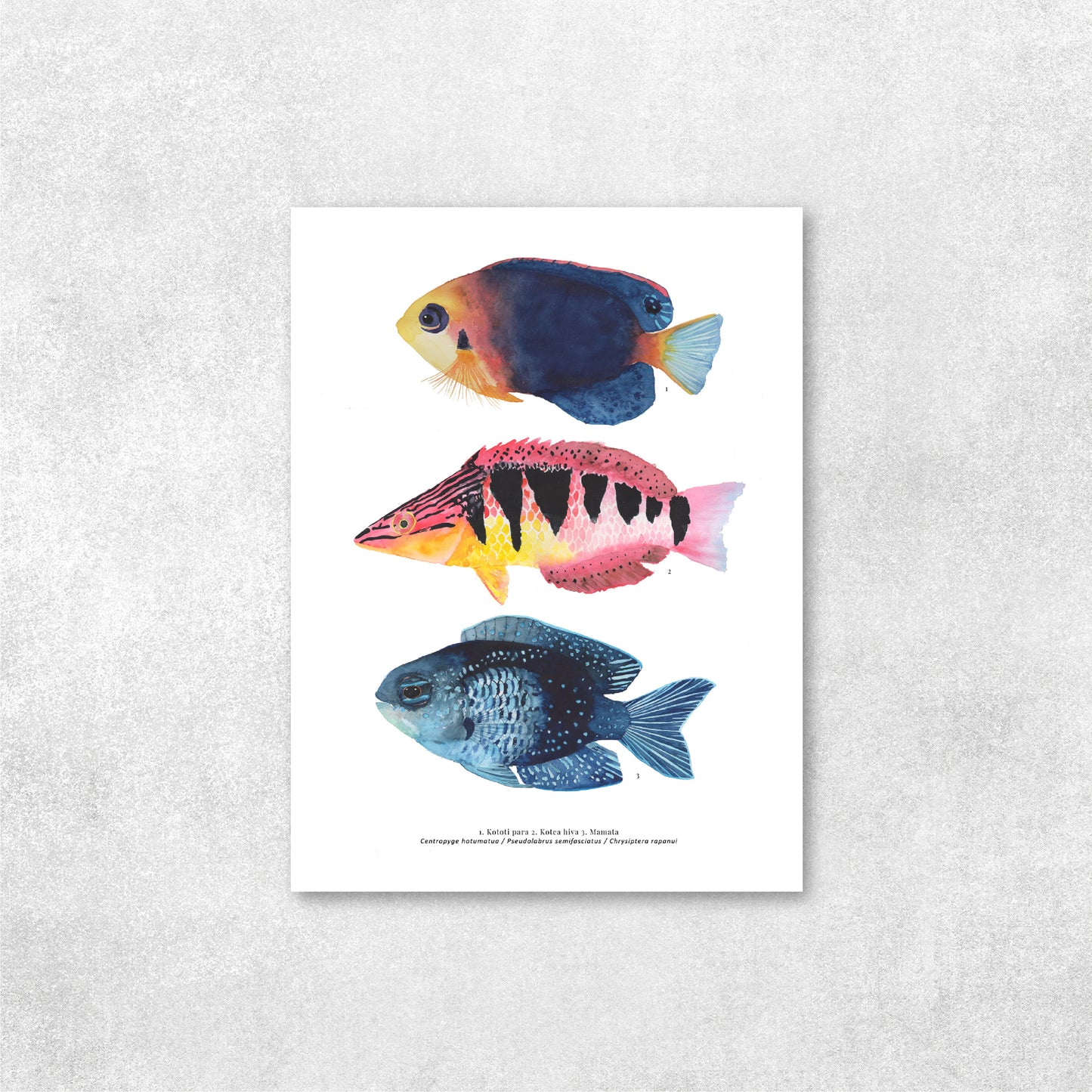 Trío de peces Rapa Nui #2