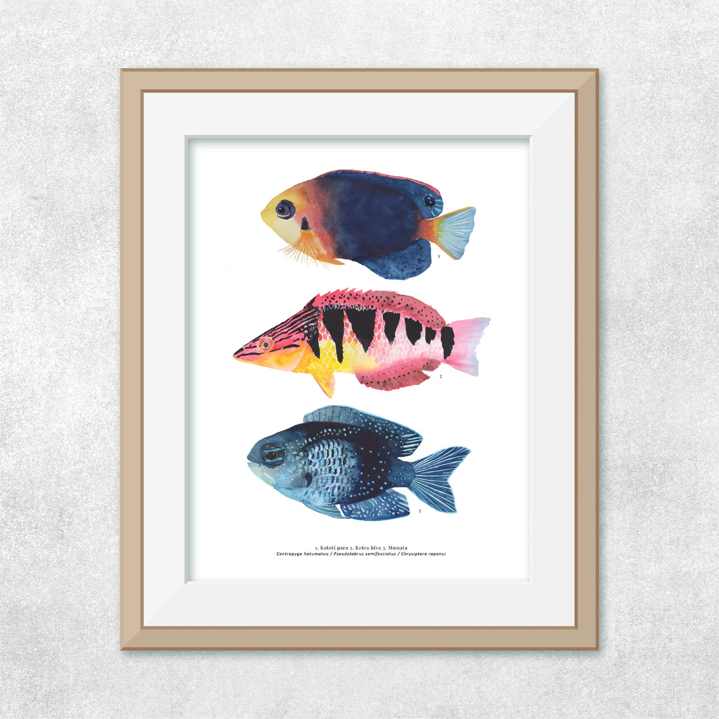 Trío de peces Rapa Nui #2