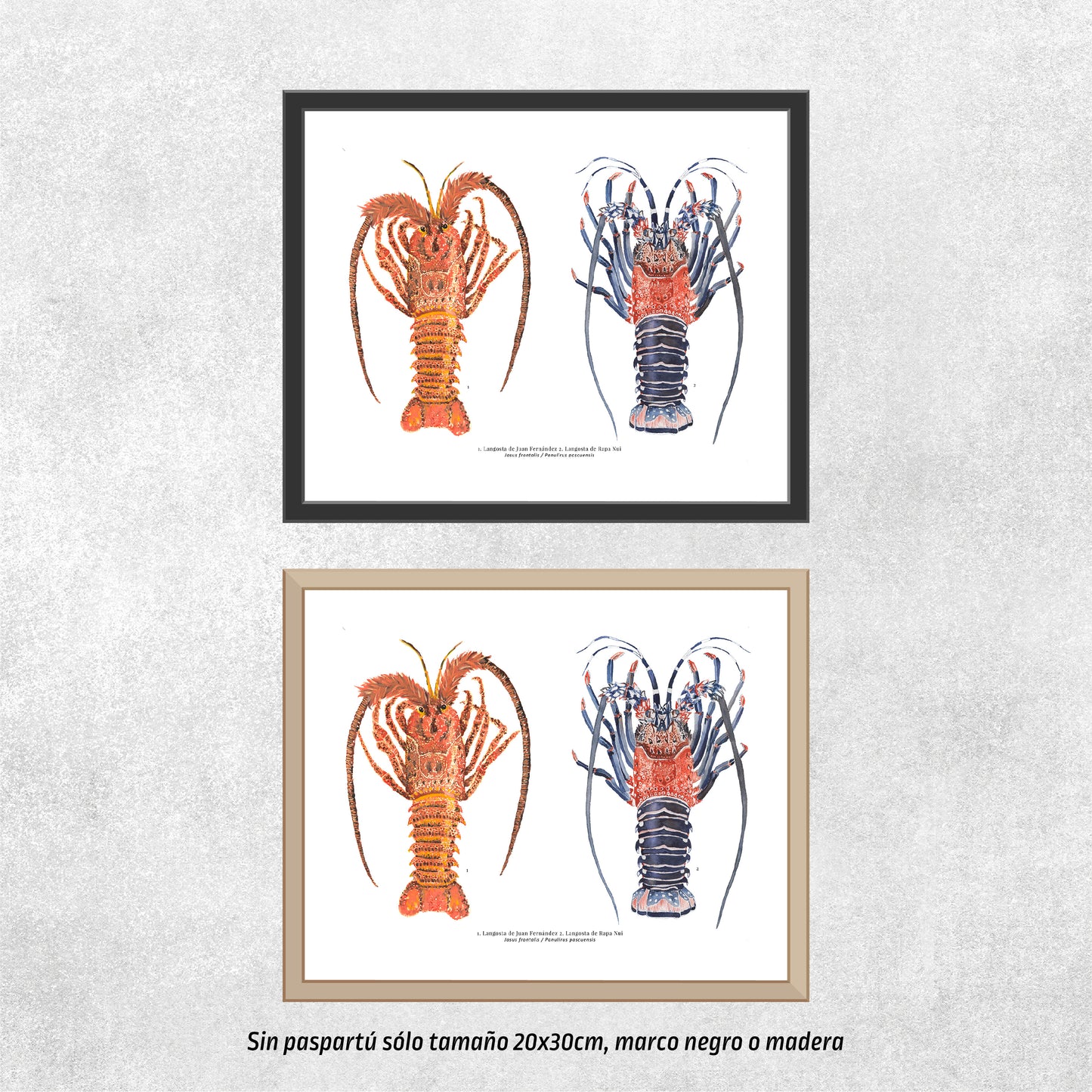 Langostas