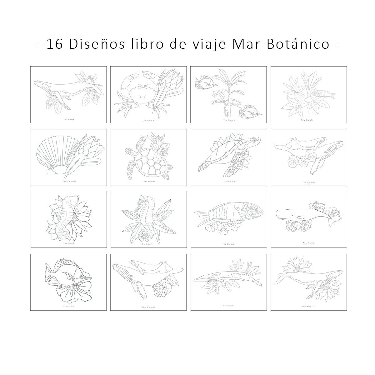 Libros para pintar inspirados en la naturaleza, tamaño pocket ideal para viaje, tita bianchi, pintar con acuarela y lápices