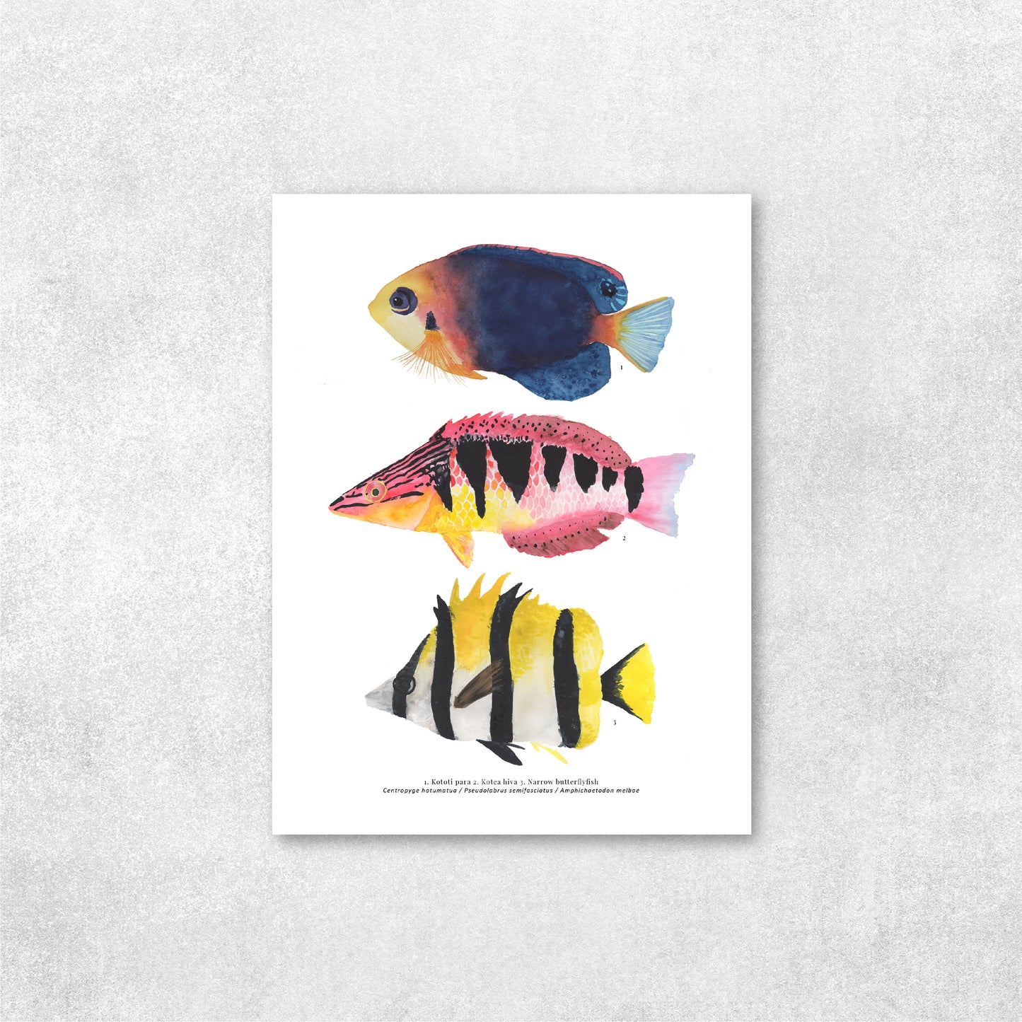 3 Peces Rapa Nui #3