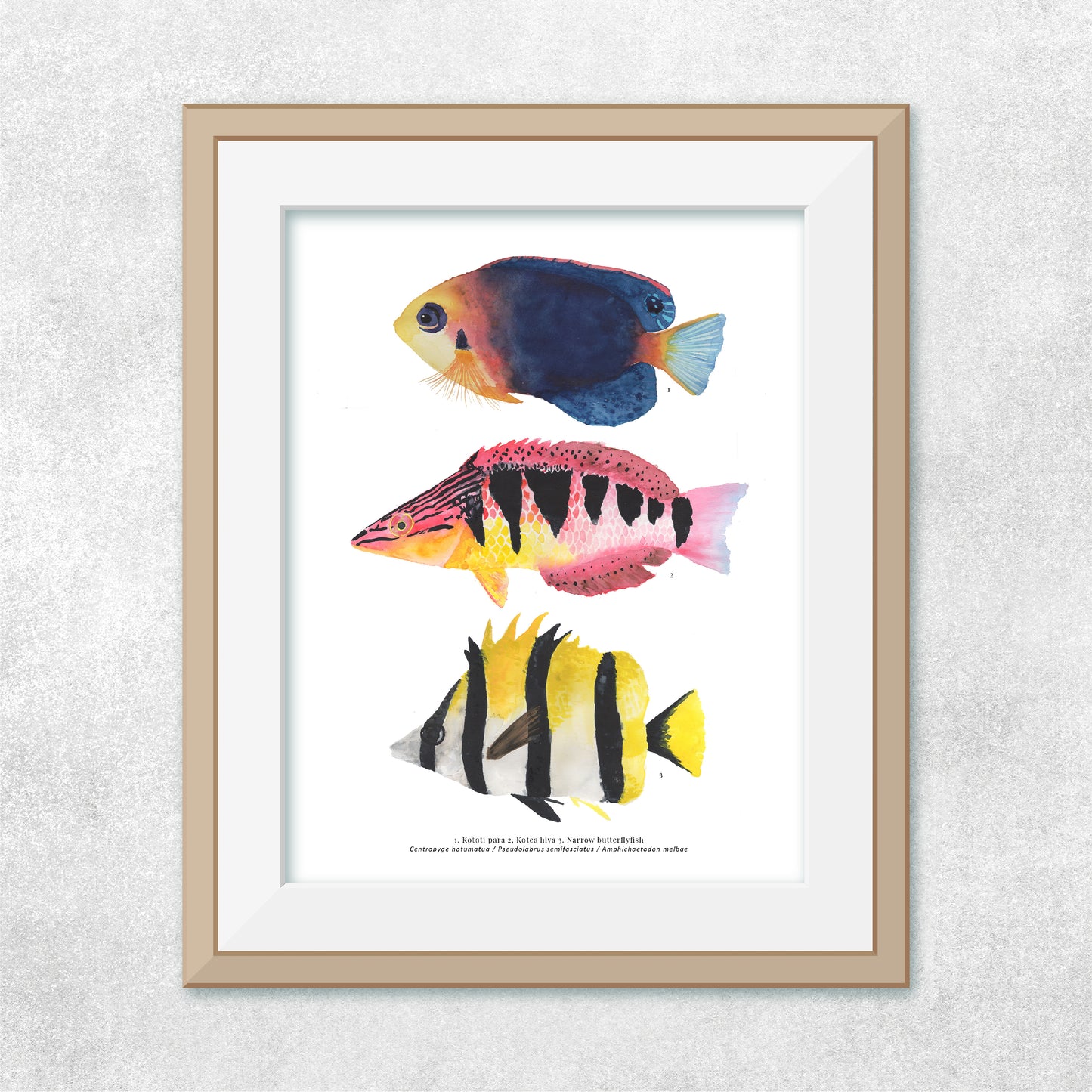 3 Peces Rapa Nui #3