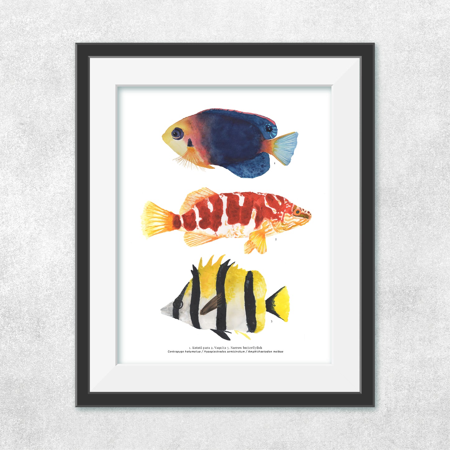 3 Peces Rapa Nui #4