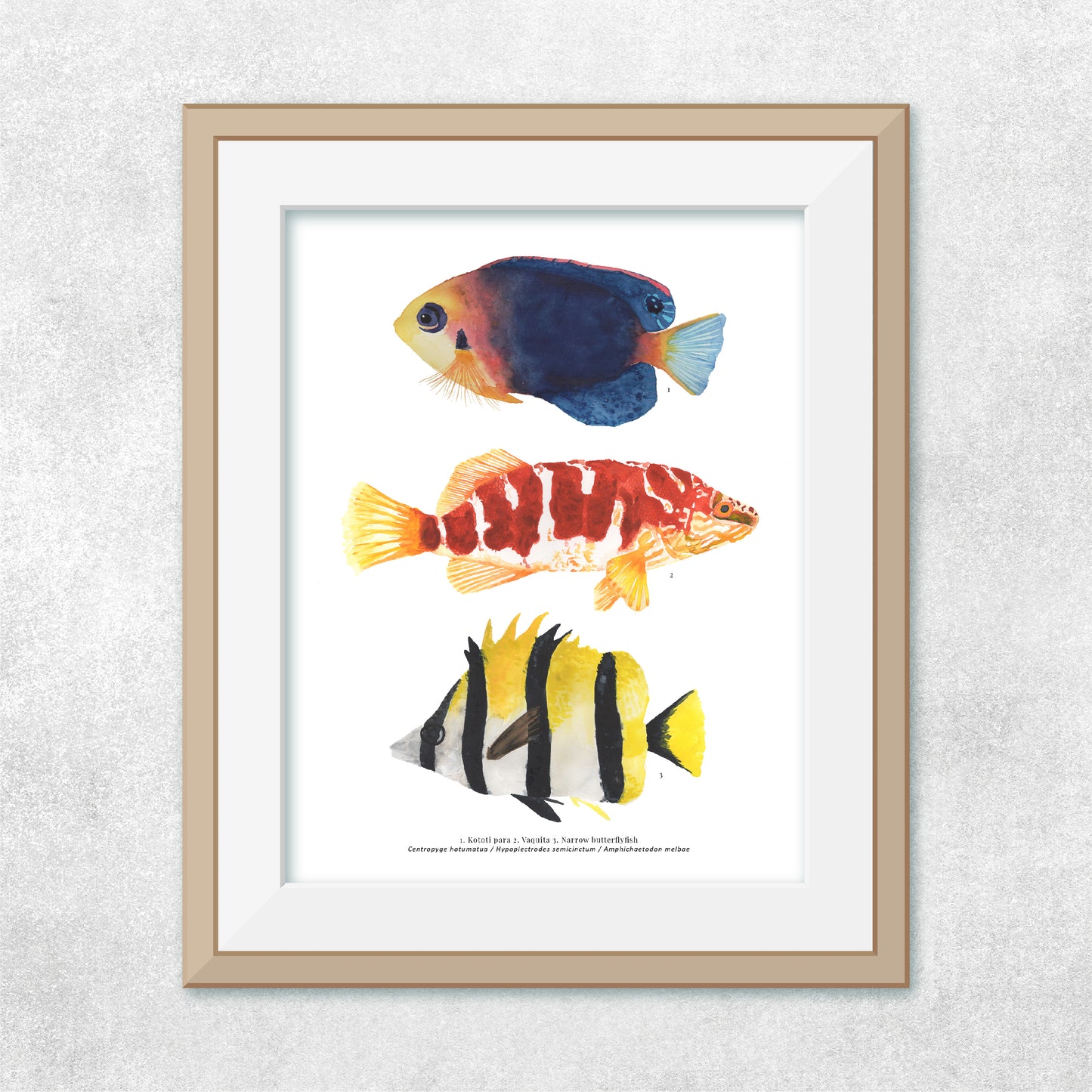 3 Peces Rapa Nui #4