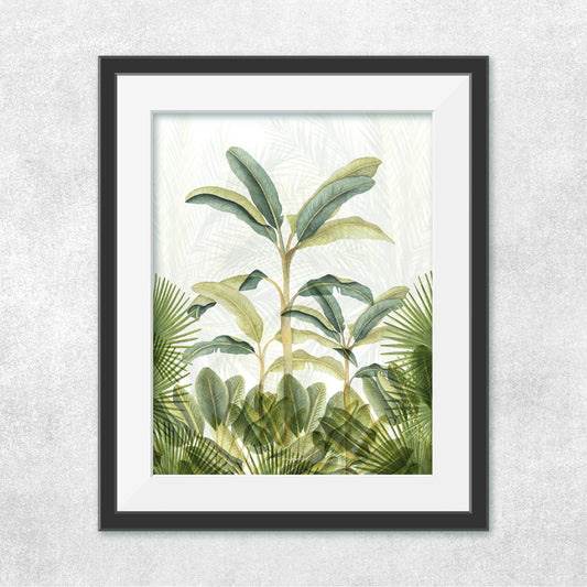 Selva Platanera