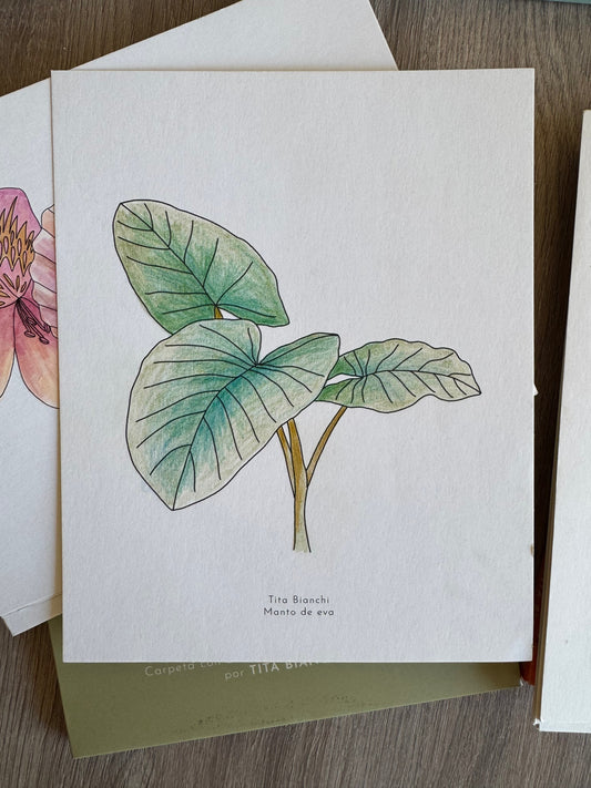 Carpeta Selva / Con acuarela y lápices!