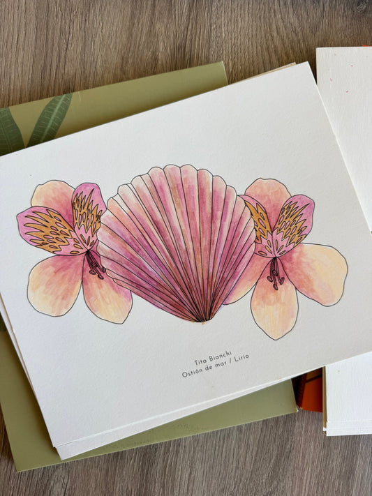 Carpeta Conchitas Botánicas / Con acuarela y lápices!