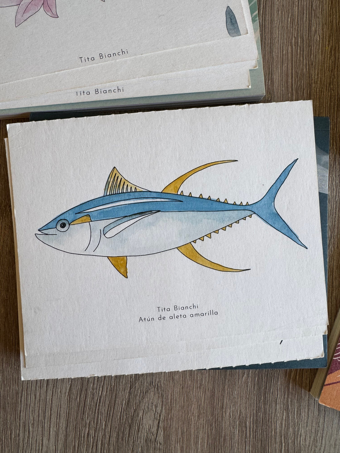 Libro Minke / Con acuarela y lápices!