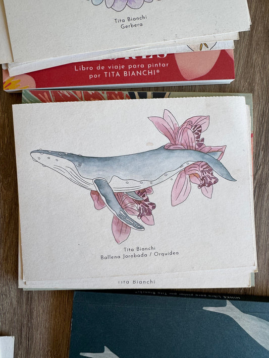 Libro Mar Botánico / Con acuarela y lápices!