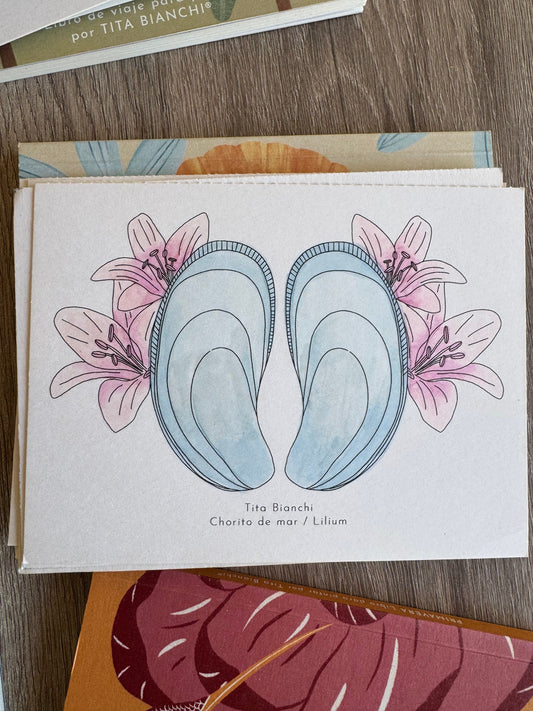 Libro Conchitas Botánicas / Con acuarela y lápices!