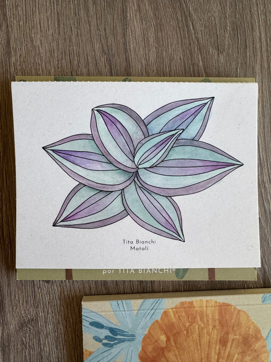 Libro Selva / Con acuarela y lápices!