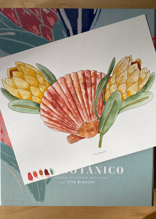 Carpeta Mar Botánico / Con acuarela y lápices!