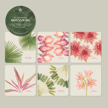 Pack Posavasos Ilustrados - Marino, Botánico, Mar Botánico (Set 18)