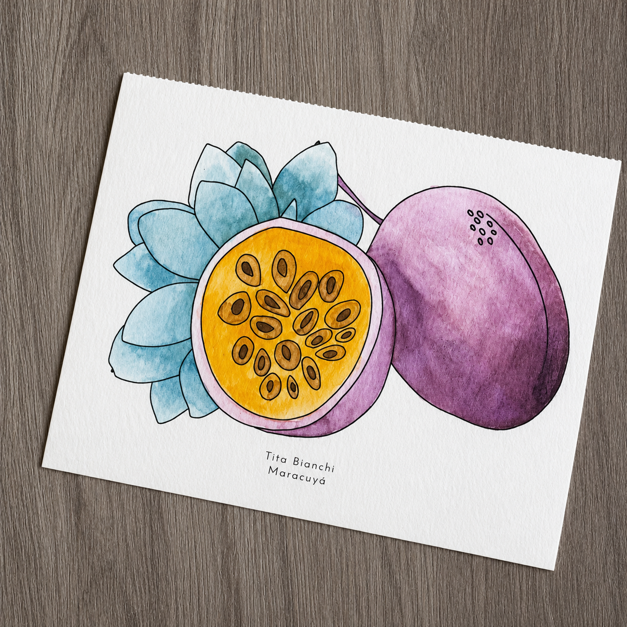 Libro para pintar Fruta Botánica