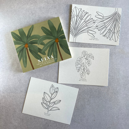 Dibujos para pintar
libro para pintar
libro para colorear
dibujos de plantas y hojas para pintar