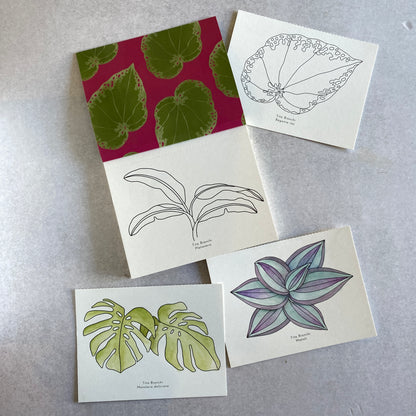 Dibujos para pintar
libro para pintar
libro para colorear
dibujos de plantas para pintar