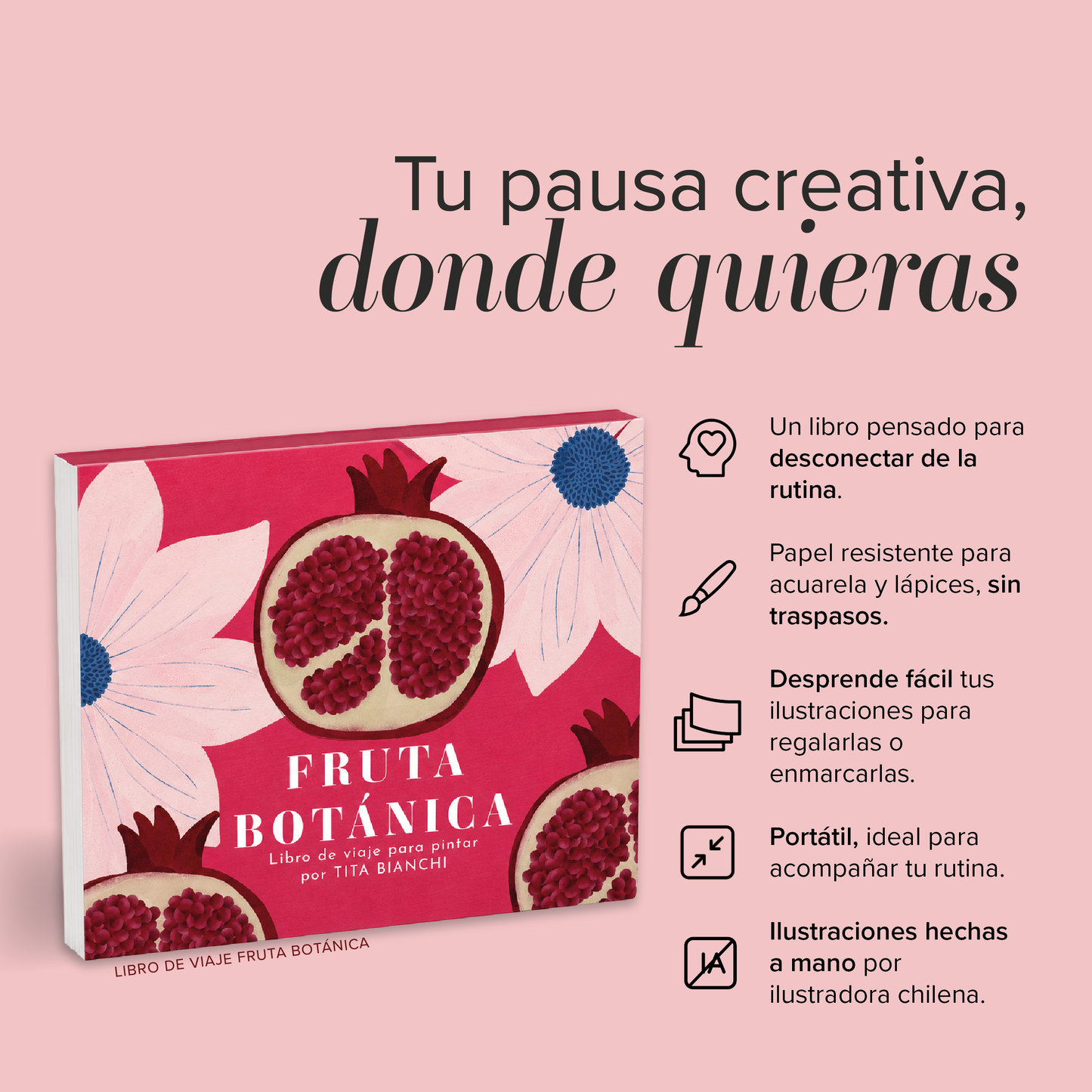Libro para pintar Fruta Botánica