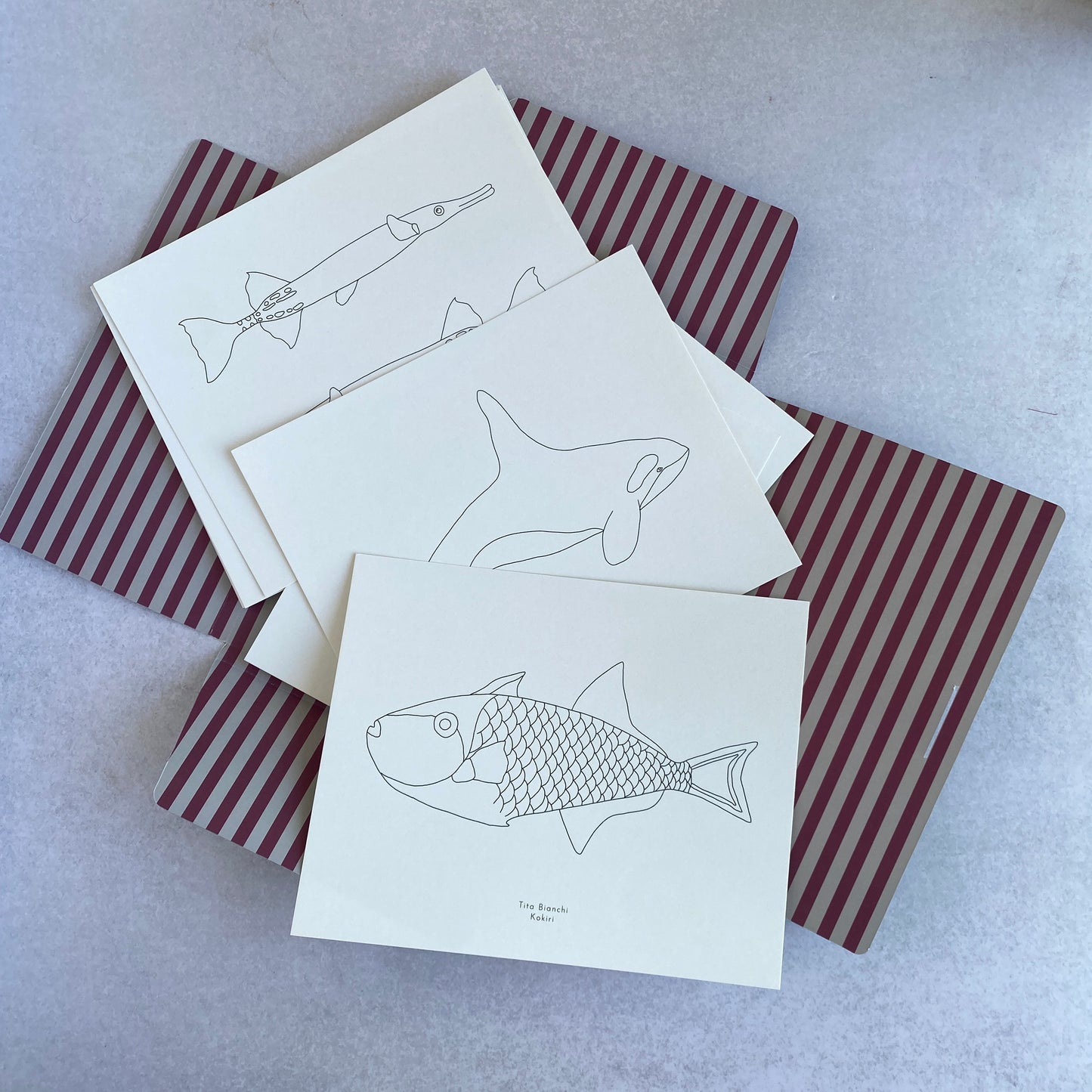 Libro para pintar - libro para colorear - carpeta minke con ilustraciones marinas para pintar - ballenas - animales marinos - ilustraciones marinas