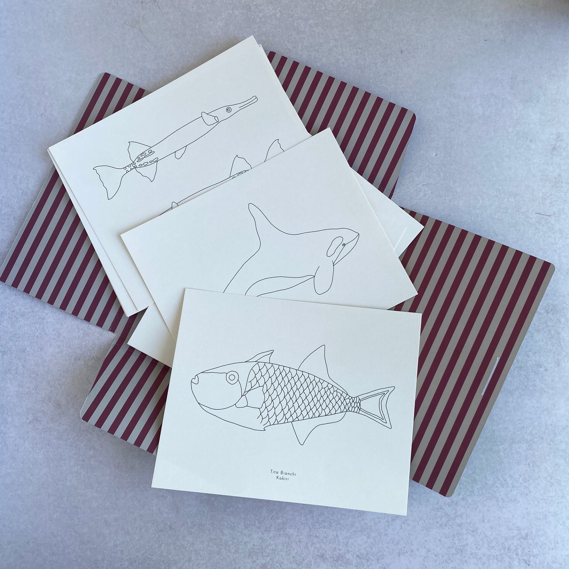 Libro para pintar - libro para colorear - carpeta minke con ilustraciones marinas para pintar - ballenas - animales marinos - ilustraciones marinas