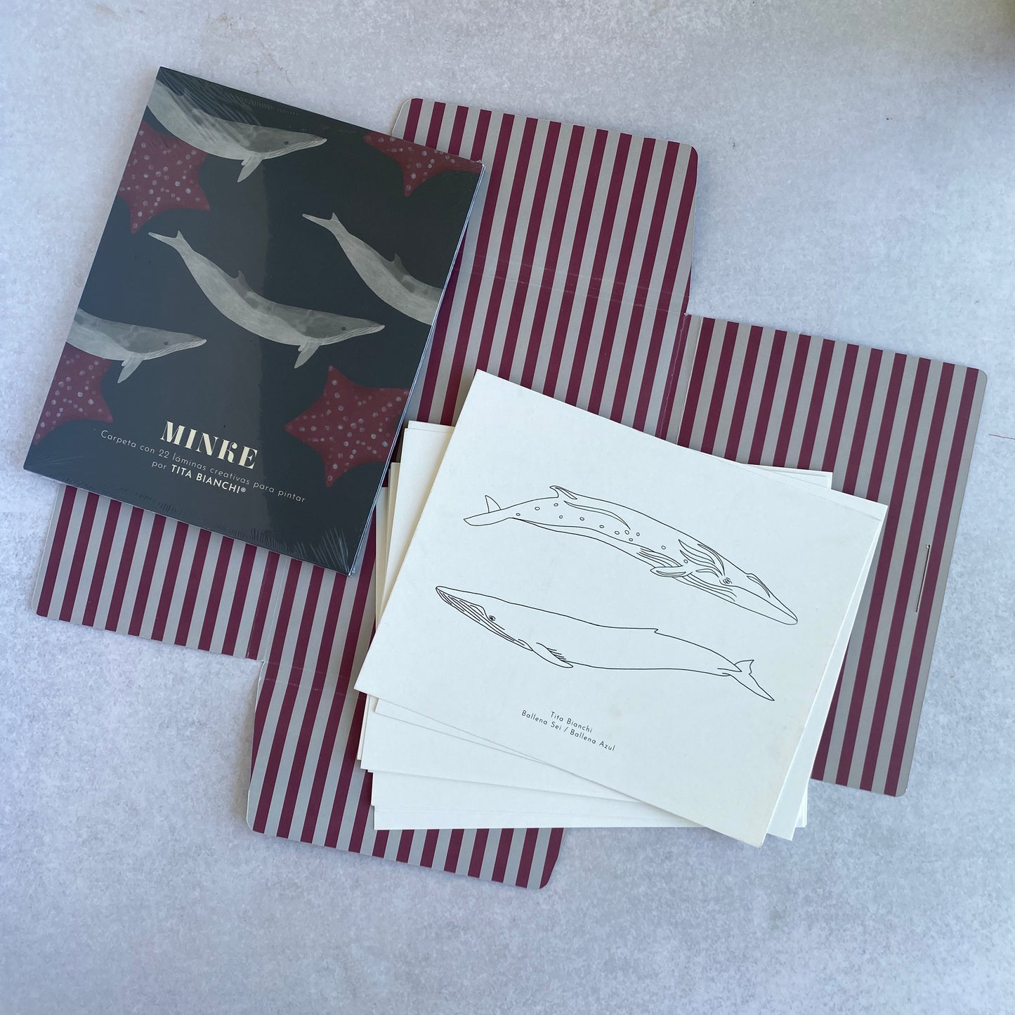 Libro para colorear - libro para pintar - carpeta minke - ilustraciones de ballenas - ilustraciones de animales marinos - ilustraciones marinas para pintar