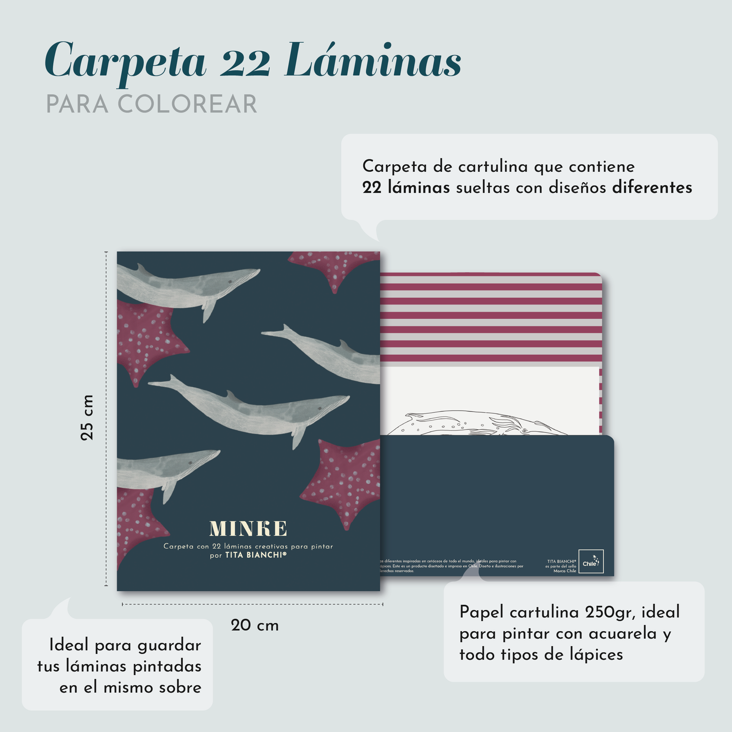 Libro para colorear - libro para pintar - carpeta minke con ilustraciones marinas - dibujos de ballenas