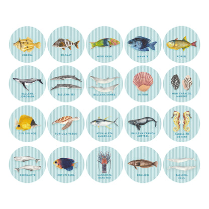 Pack Memorices Marino + Botánico CYBER