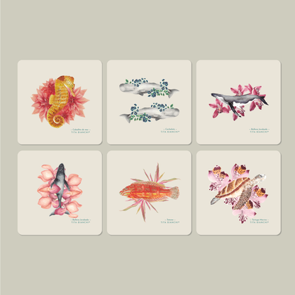 Posavasos Mar Botánico – Set de 6