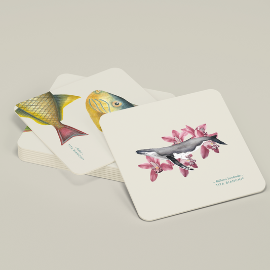 Posavasos Marinos – Set de 6