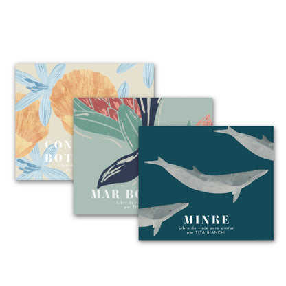 Pack Marino, libros para pintar