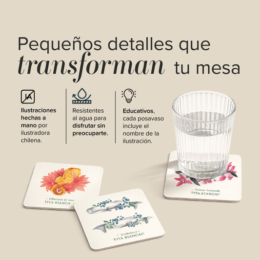 Posavasos Mar Botánico – Set de 6